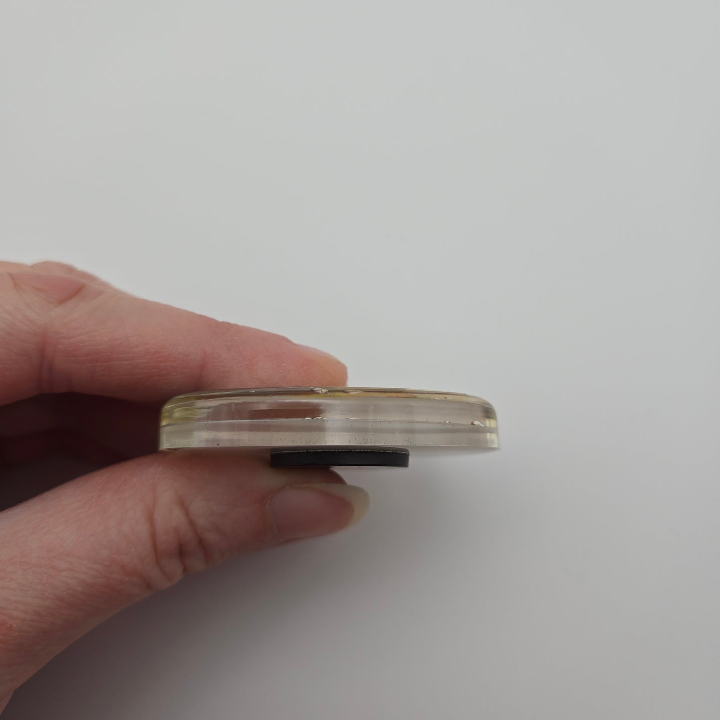 Joshua Tree Watercolor Oval Resin Magnet